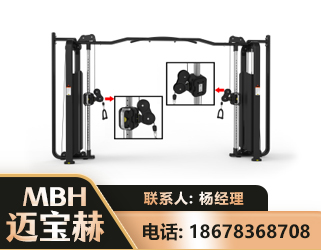 大同大飞鸟训练器