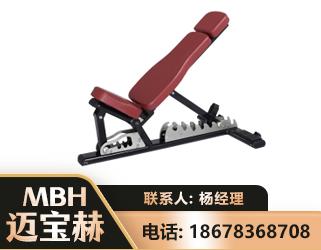 大同可调哑铃椅