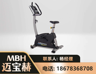 大同立式健身车